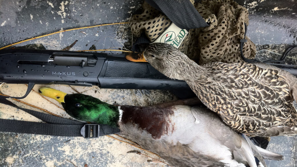 6 Best Duck Hunting Shotguns Shotguns for Waterfowl